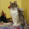 Отзыв от Клара Рябова